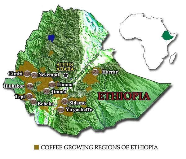 Coffee Growing Regions of Ethiopia Map