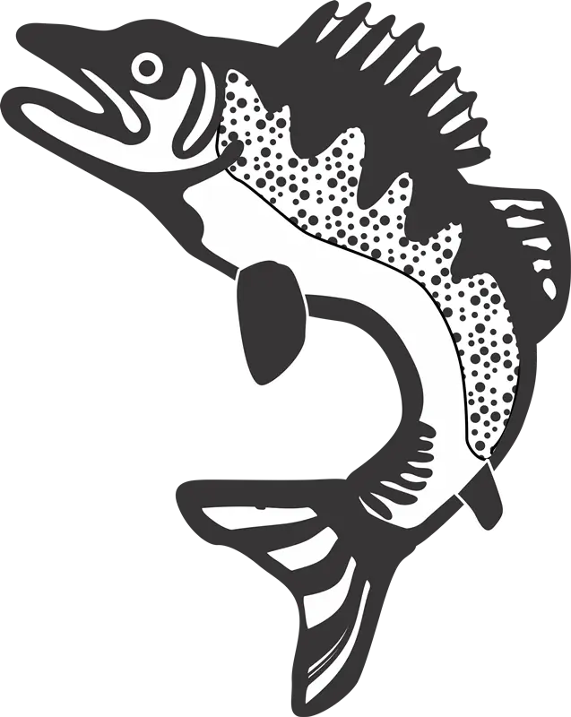 Black Fish Illustration Design