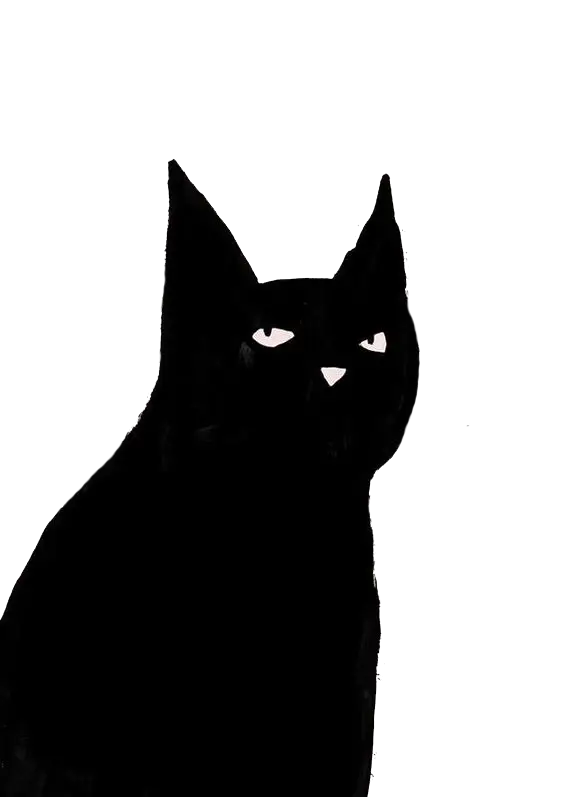 Black Cat Silhouette