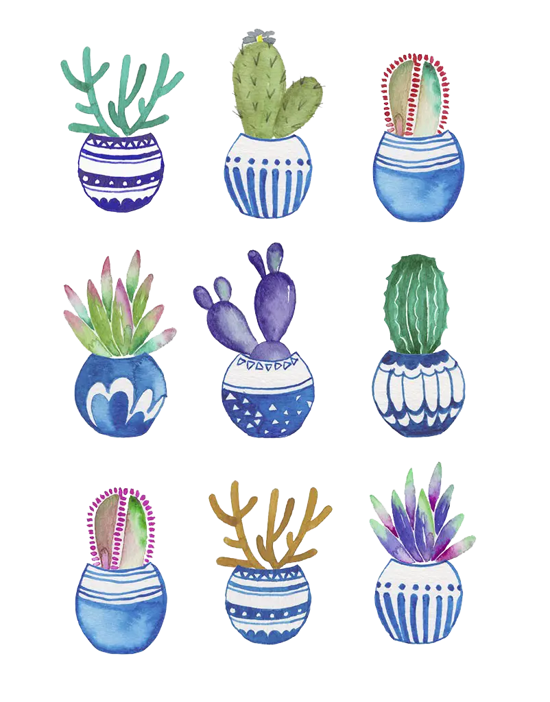 Watercolor Cactus Collection