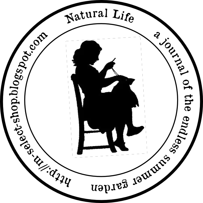 Silhouette of Woman Knitting