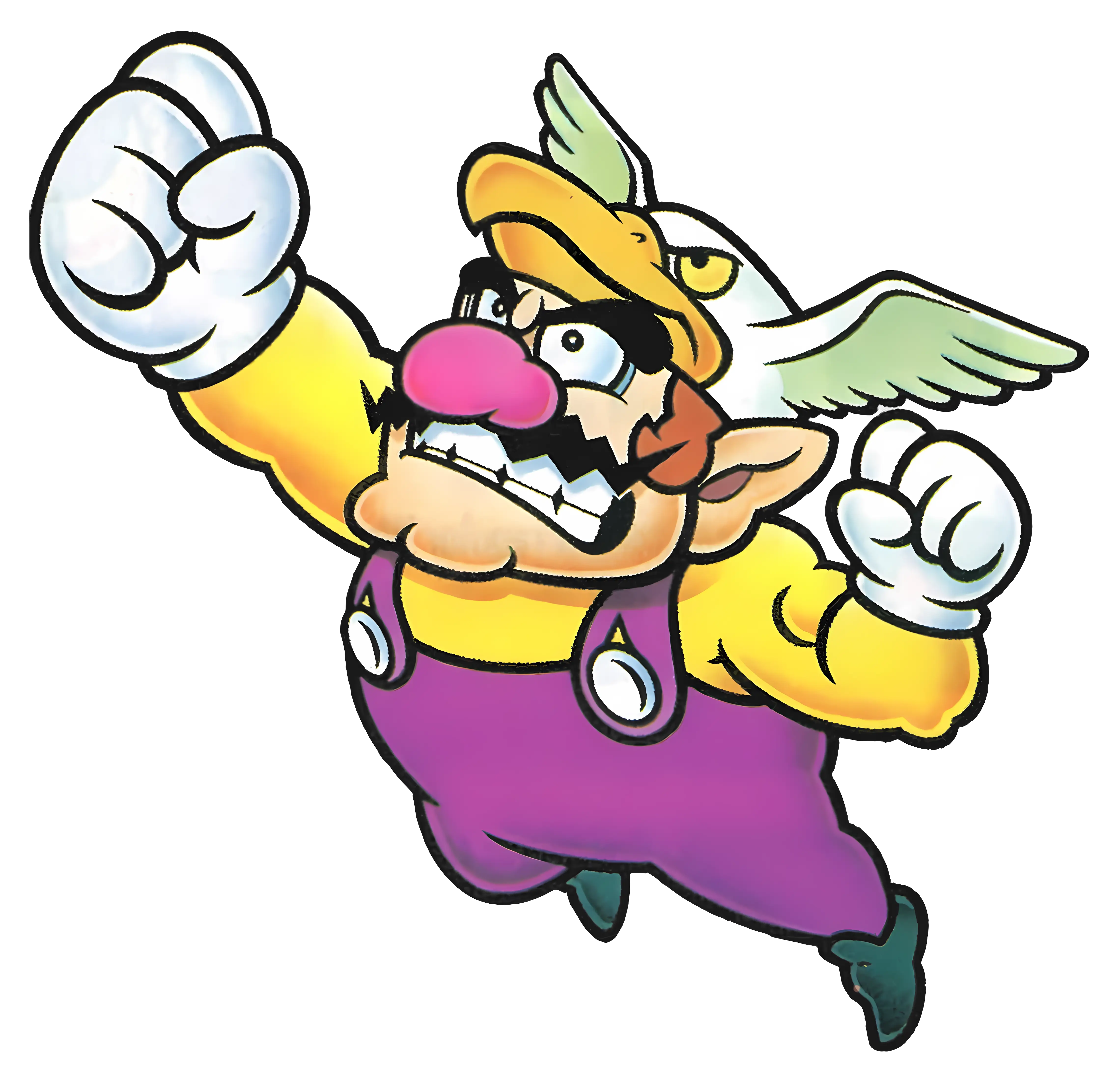 Flying Wario