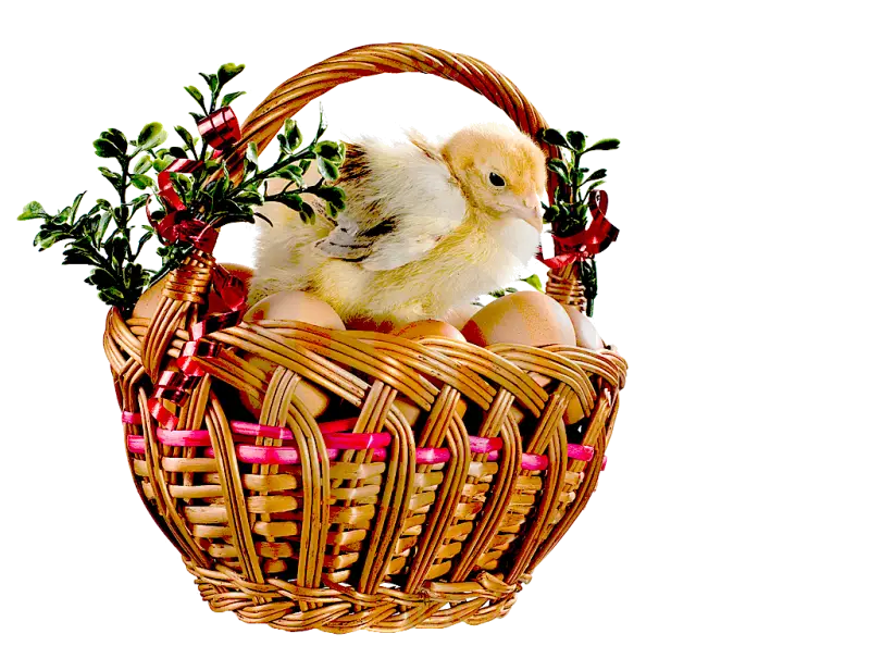 Easter Basket with Chick and Eggs