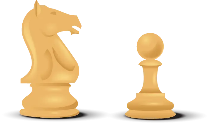 Chess Pieces Knight and Pawn