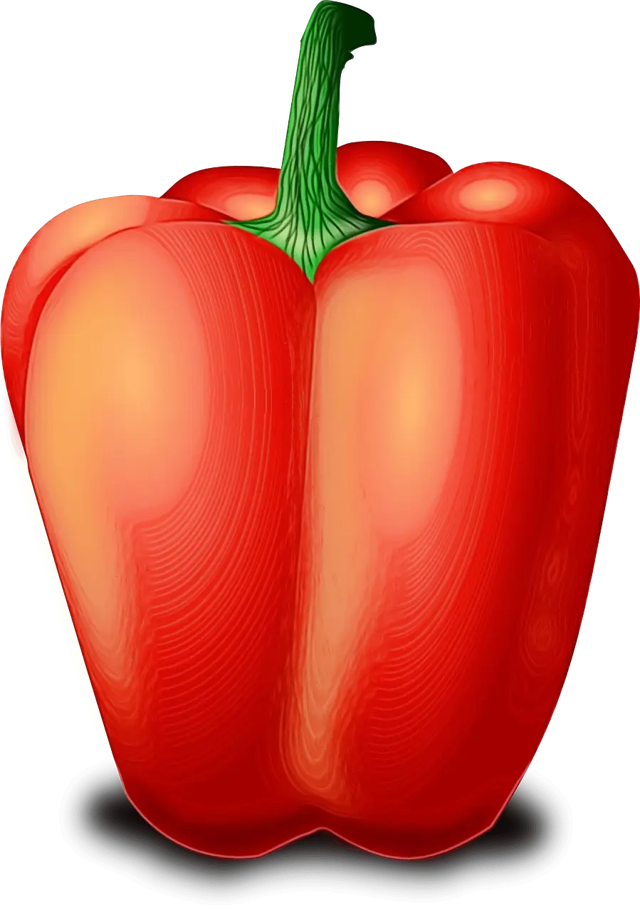 Red Bell Pepper Food Illustration