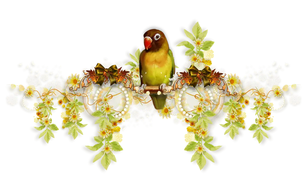 Colorful Parrot with Floral Decoration