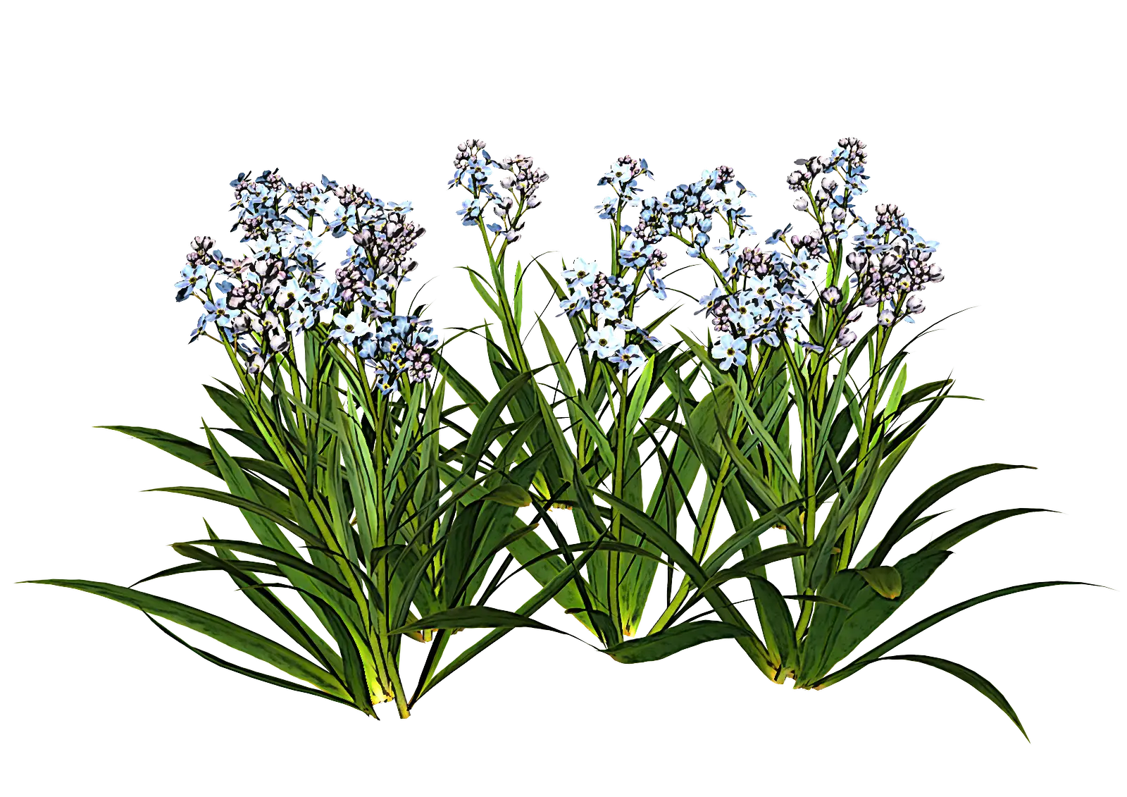 Purple Flower Plants with Green Leaves