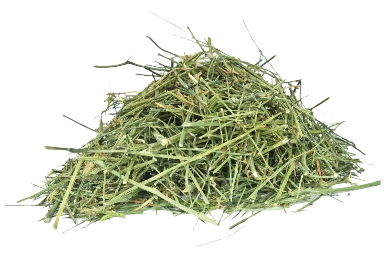 Pile of Fresh Green Hay for Farming