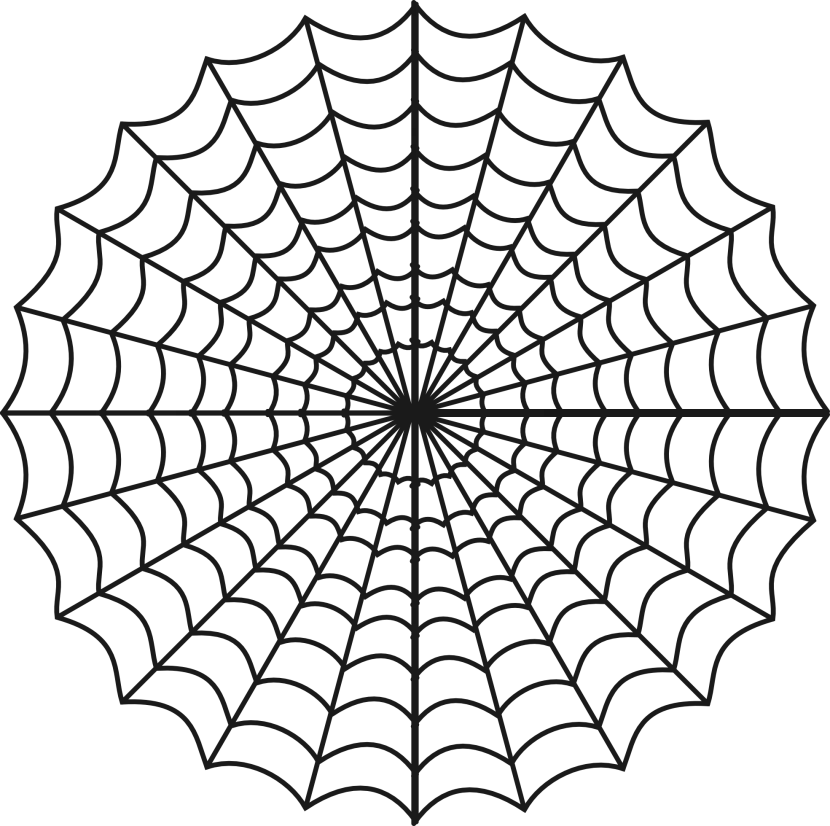 Intricate Spider Web Design