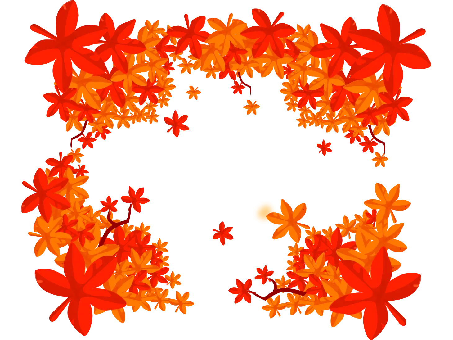 Vibrant Red and Orange Flowers