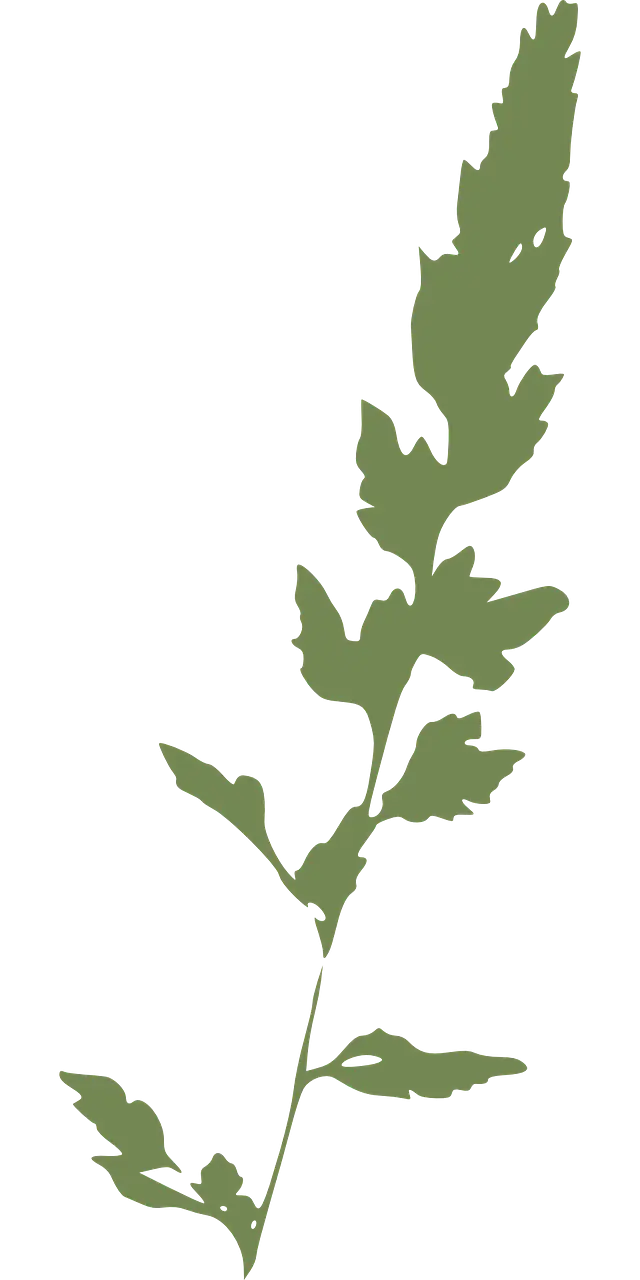Green Plant Silhouette Design