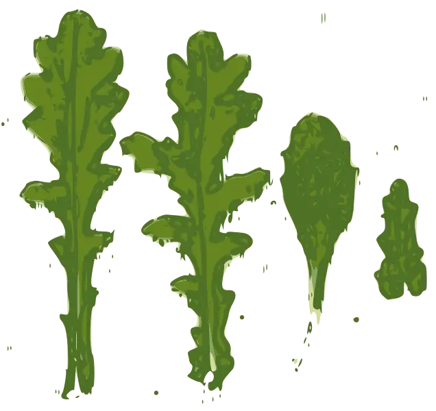 Green Leaves Illustration