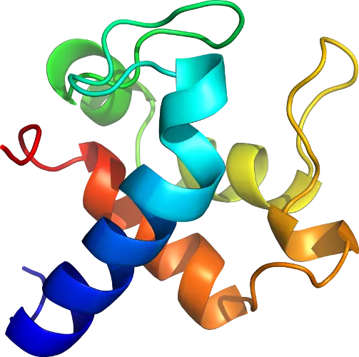 Protein Structure Illustration in 3D Model