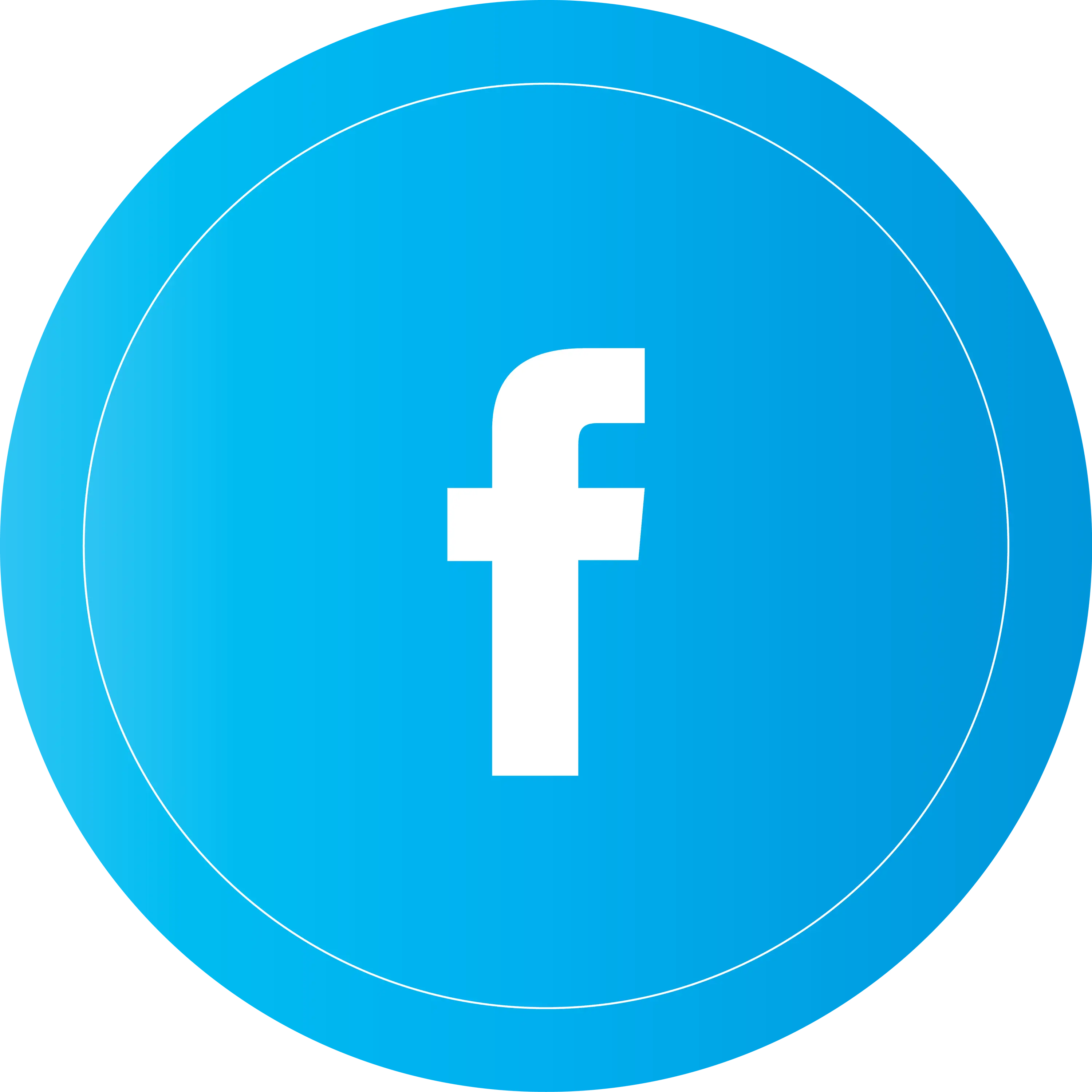 Facebook Logo in Blue Circle