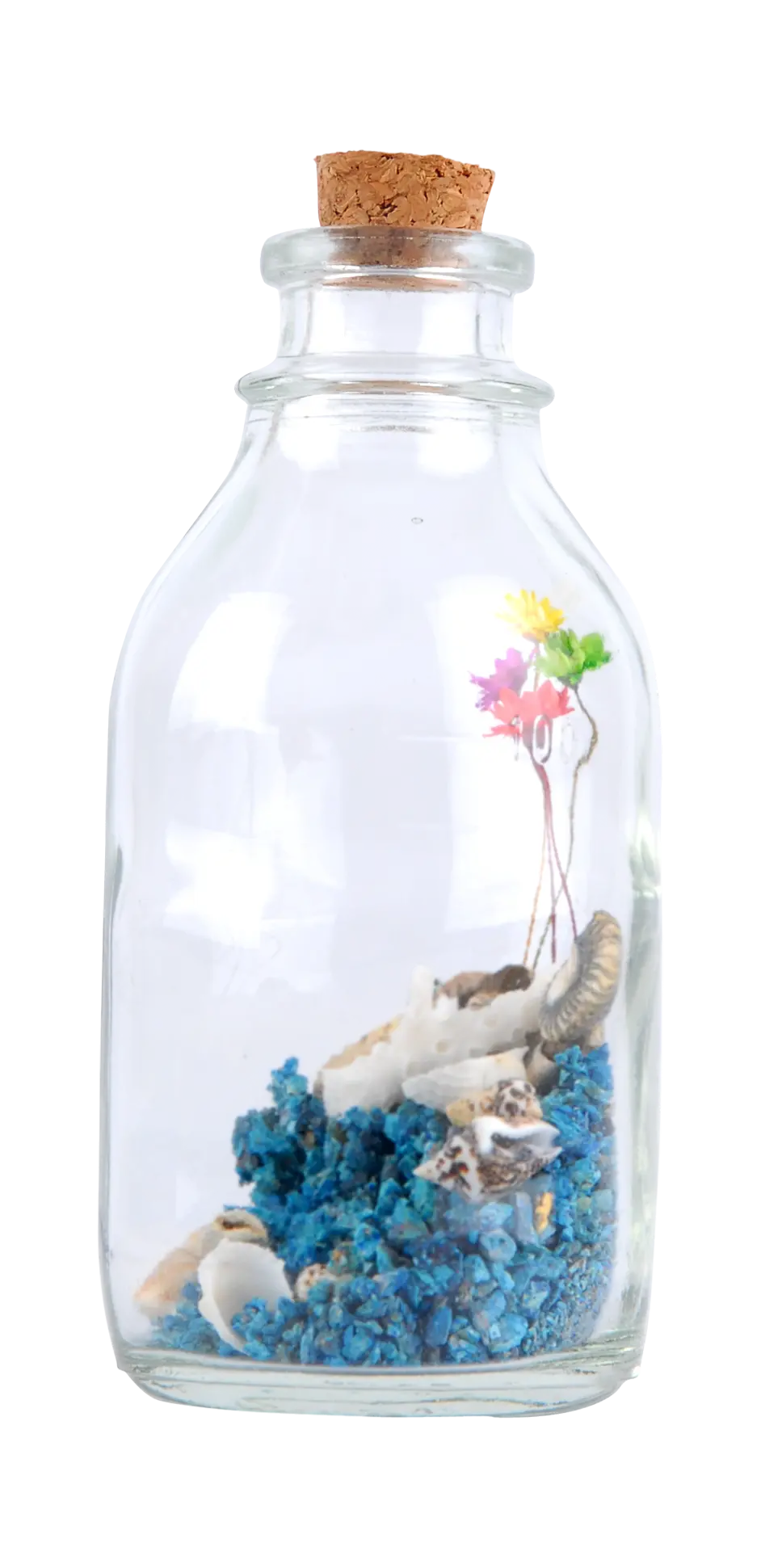 Decorative Terrarium in a Bottle