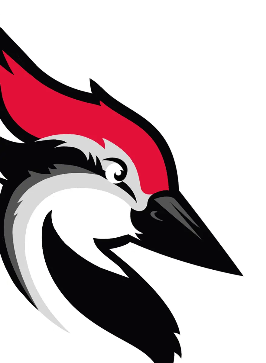 Cartoon Woodpecker with Red Crest