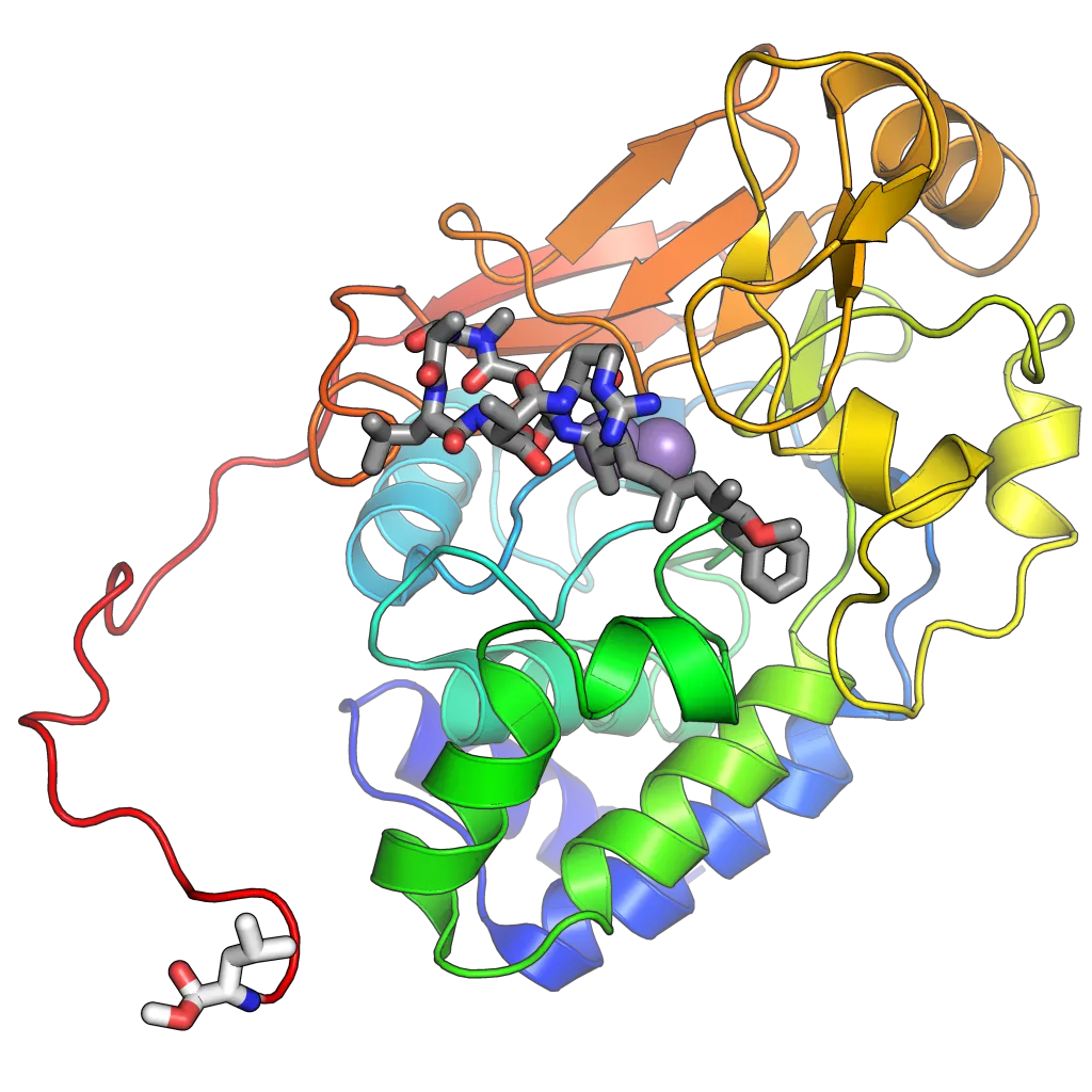 Illustration of Protein Structure for Science