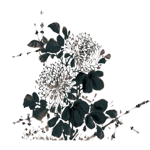 Black and White Floral Illustration