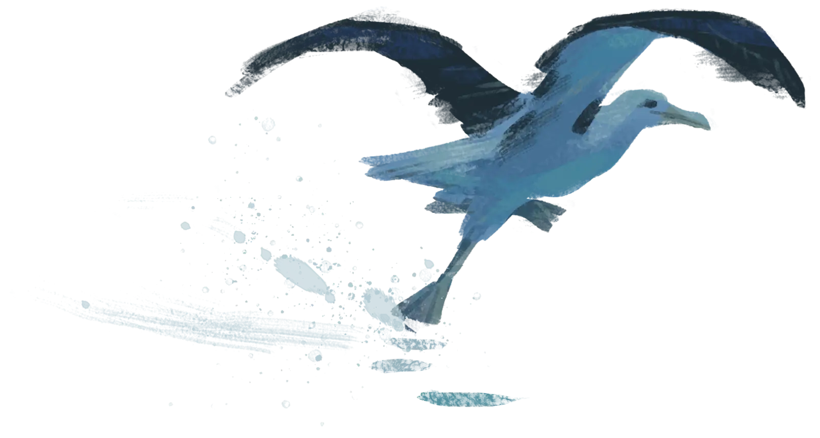 Flying Bird Illustration