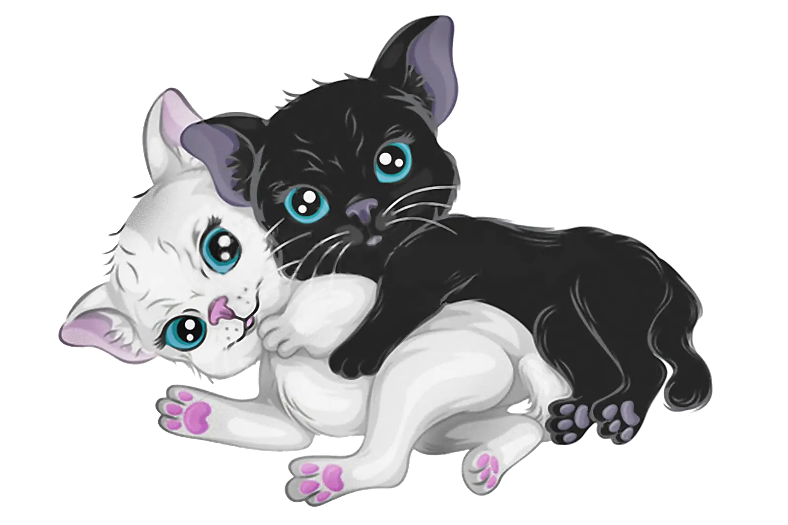 Cute Kittens Playing