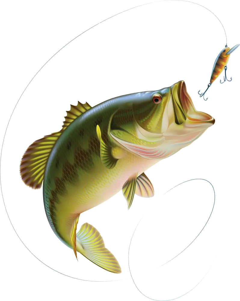 Fish Catching Lure in Water