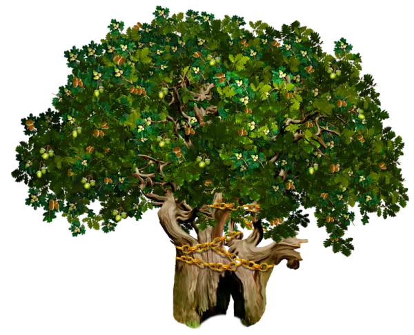 Lush Green Tree