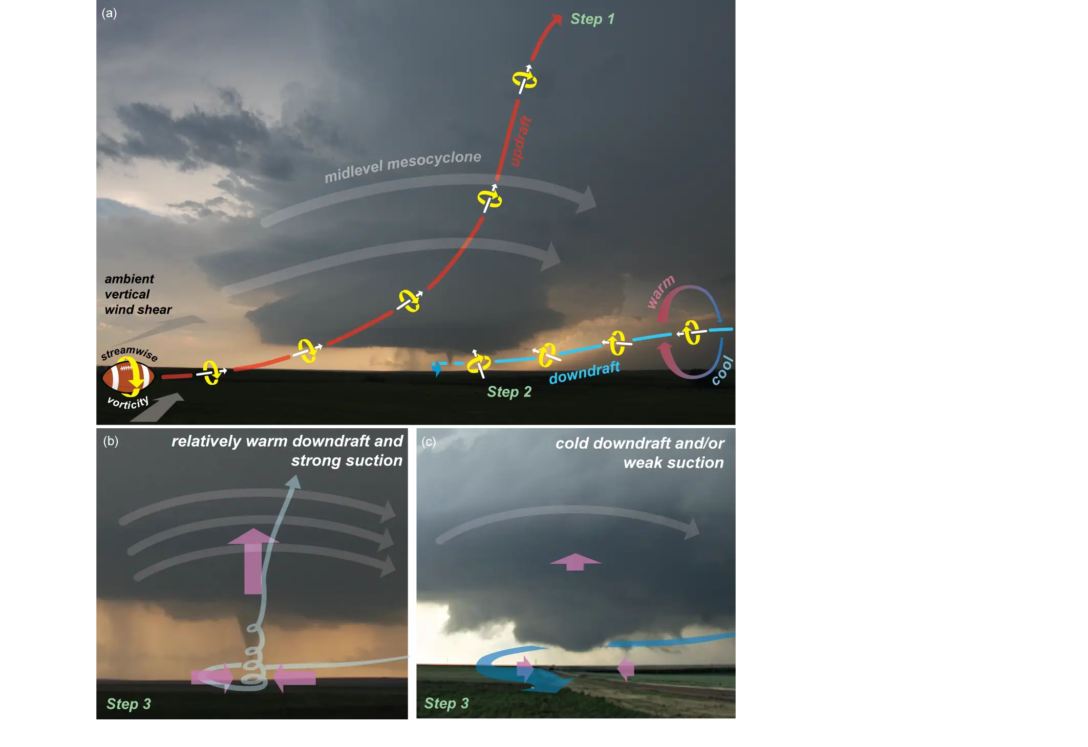 Tornado Formation Diagram