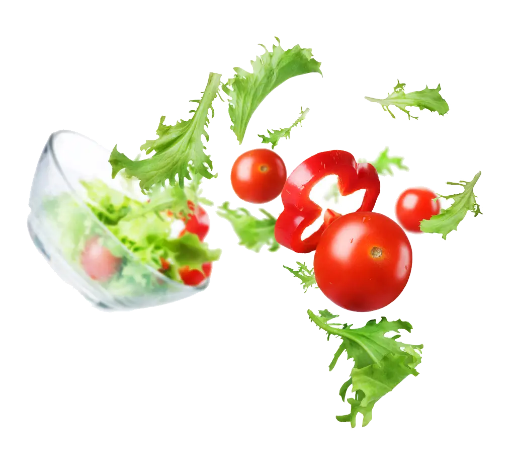 Fresh Salad with Vegetables