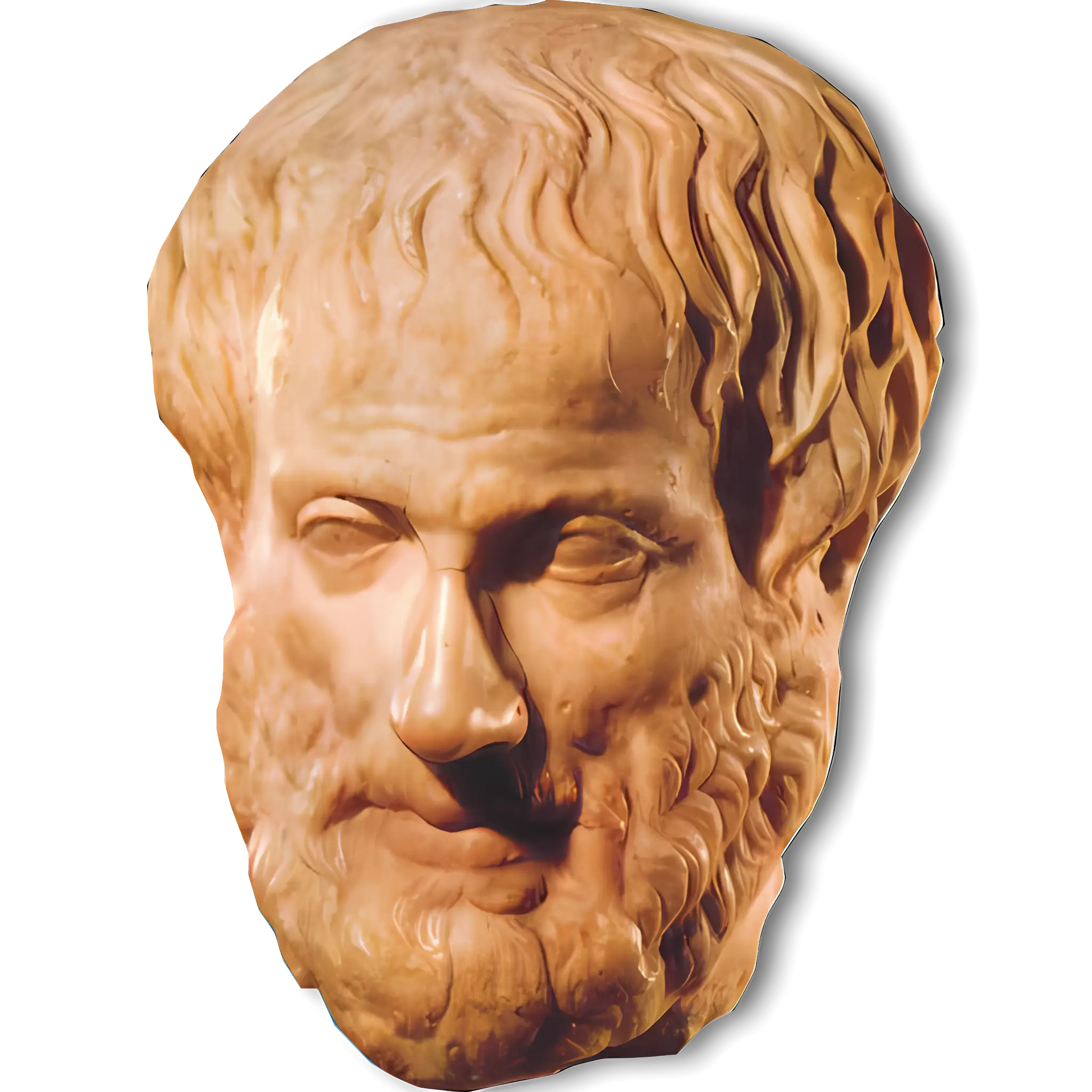 Ancient Sculpture Bust Illustration