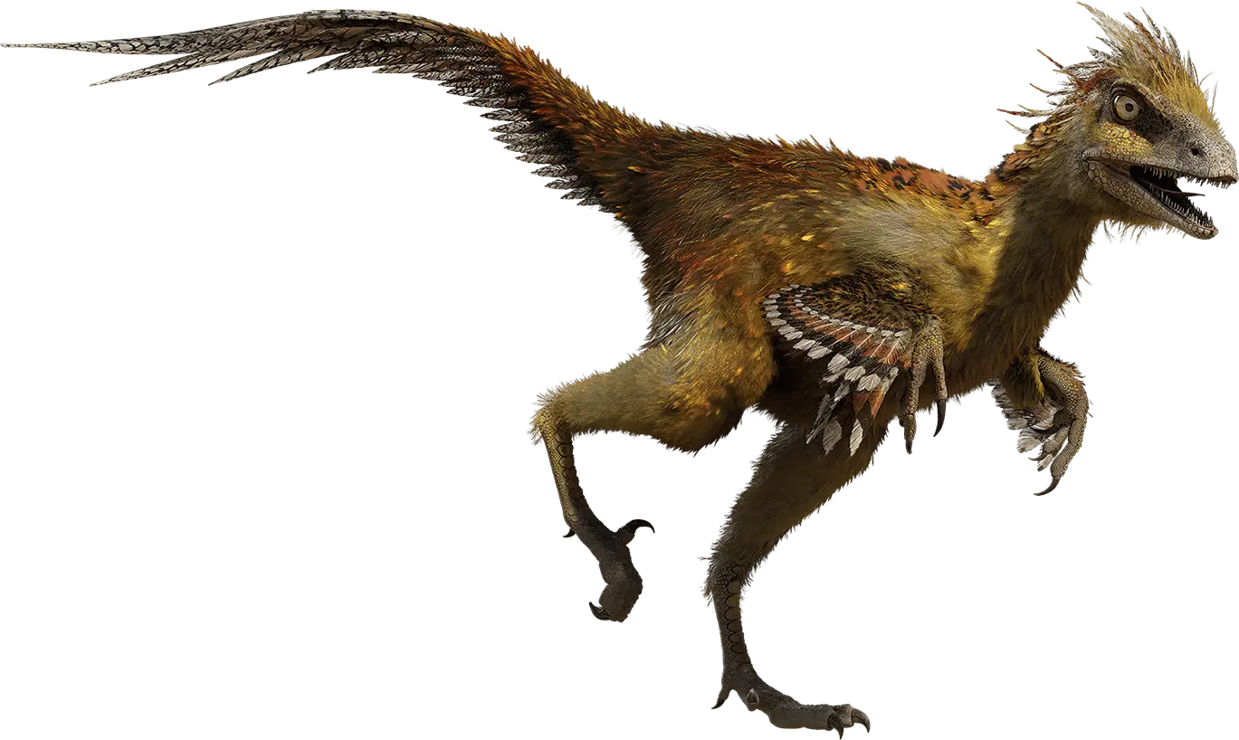 Feathered Dinosaur with Prehistoric Features