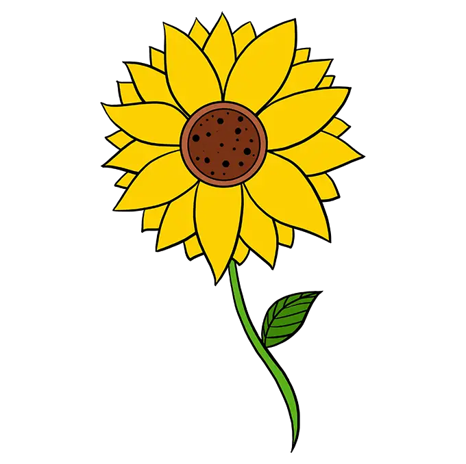 Cartoon Sunflower Illustration