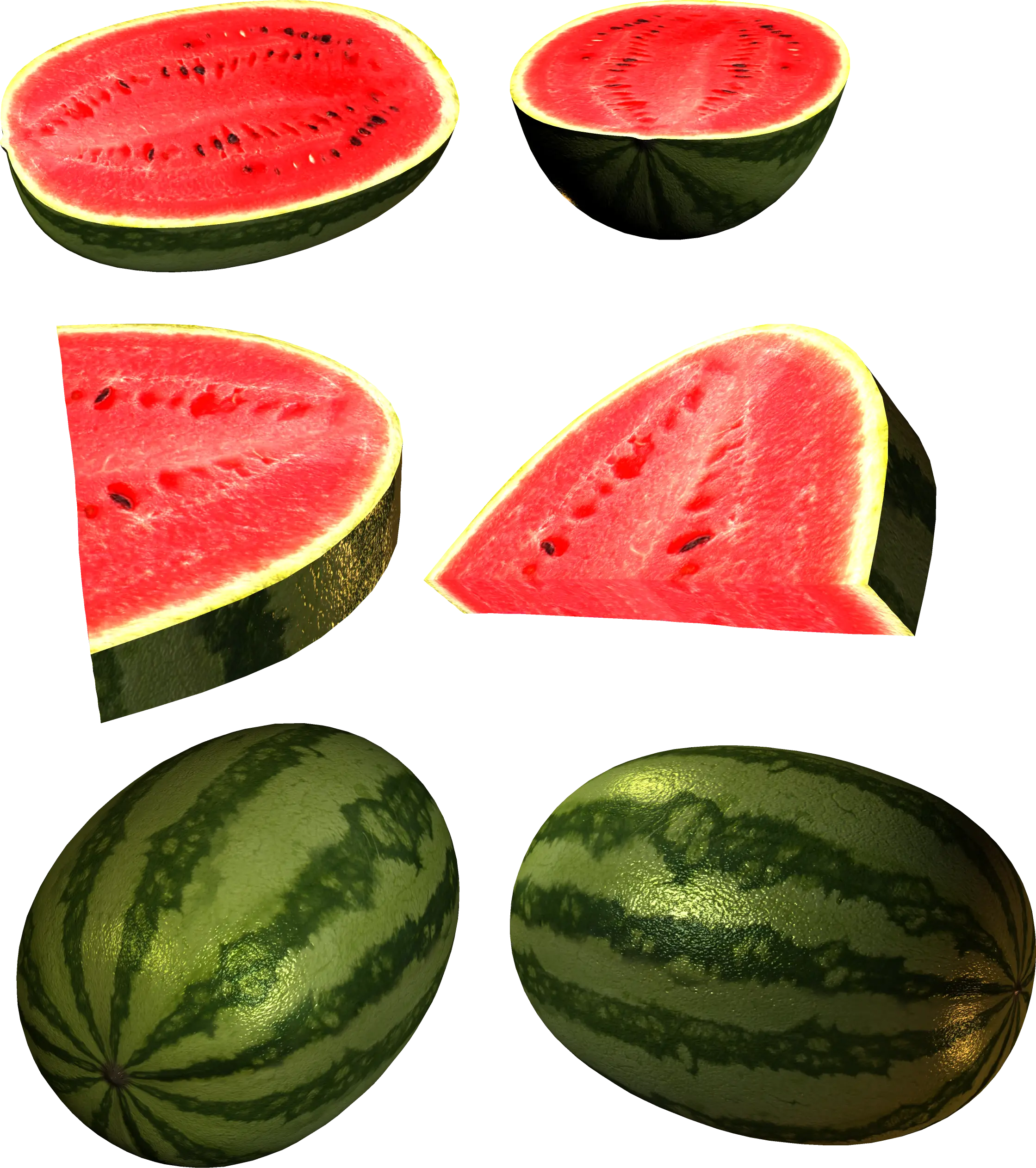 Watermelon Slices and Whole Illustration