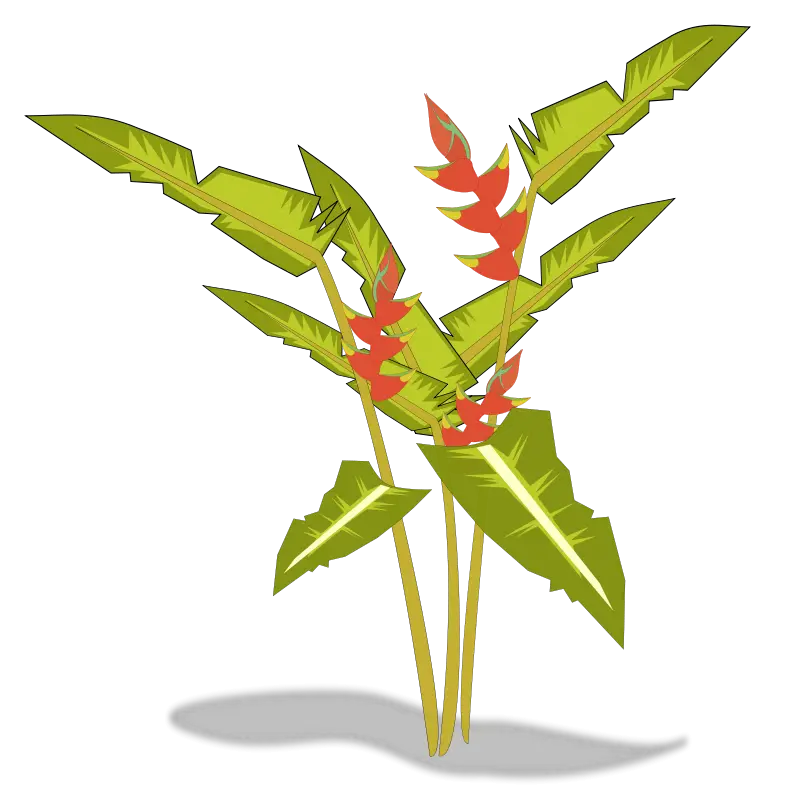 Illustration of a Green Plant with Red Flowers