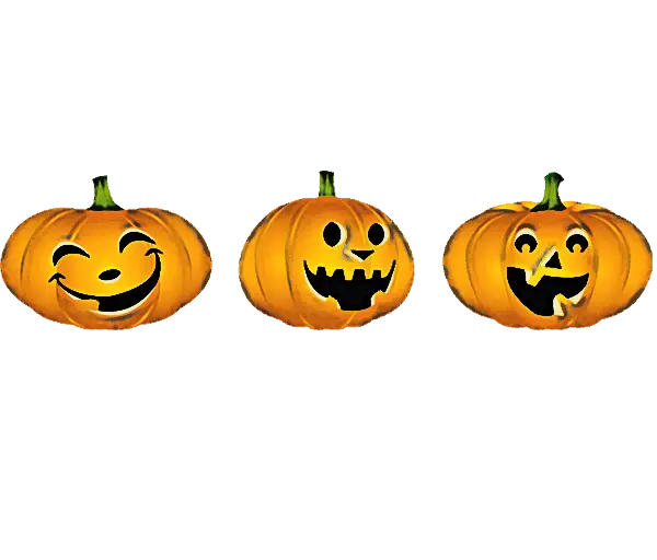 Carved Halloween Jack-o&#039;-Lantern Pumpkins