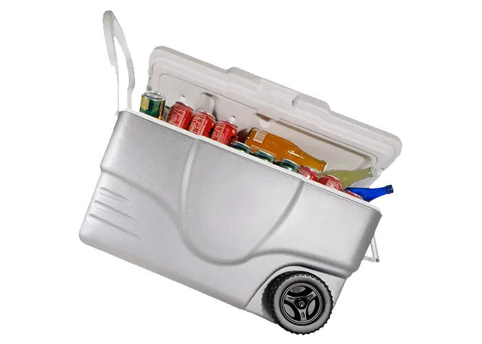 Portable Cooler with Drinks