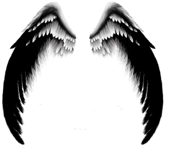 Black Angel Wings