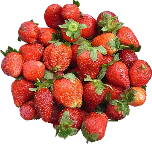 Fresh and Juicy Red Strawberries