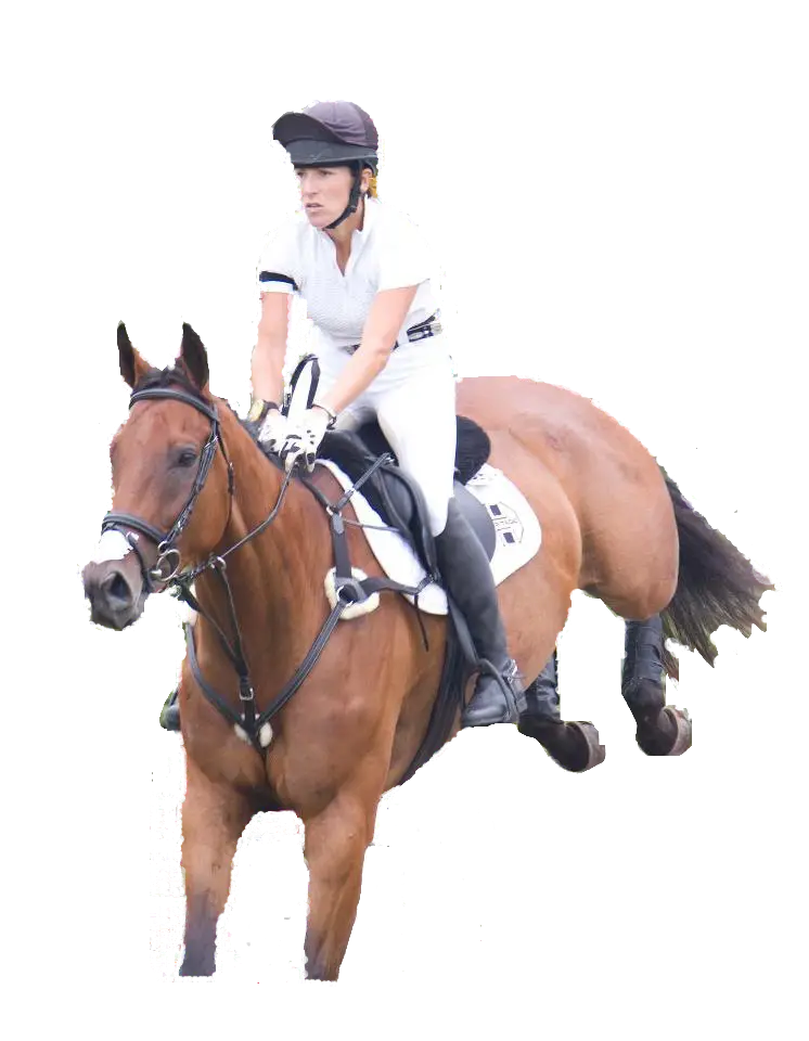 Horse Rider in Equestrian Competition