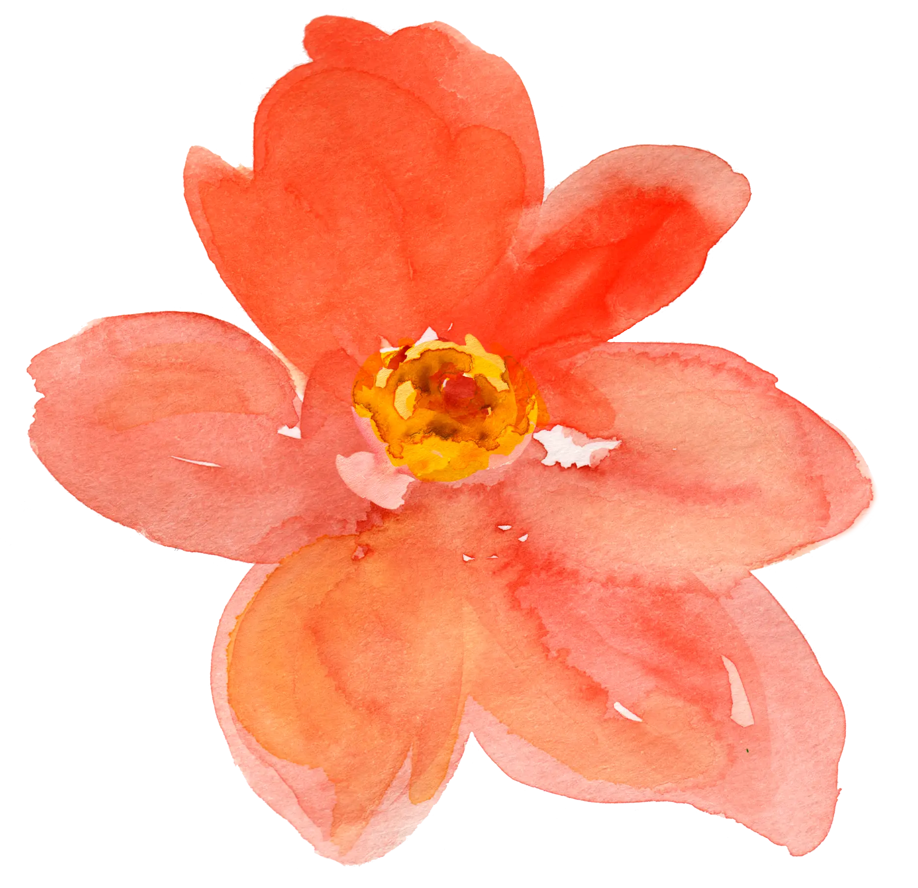 Watercolor Flower Art