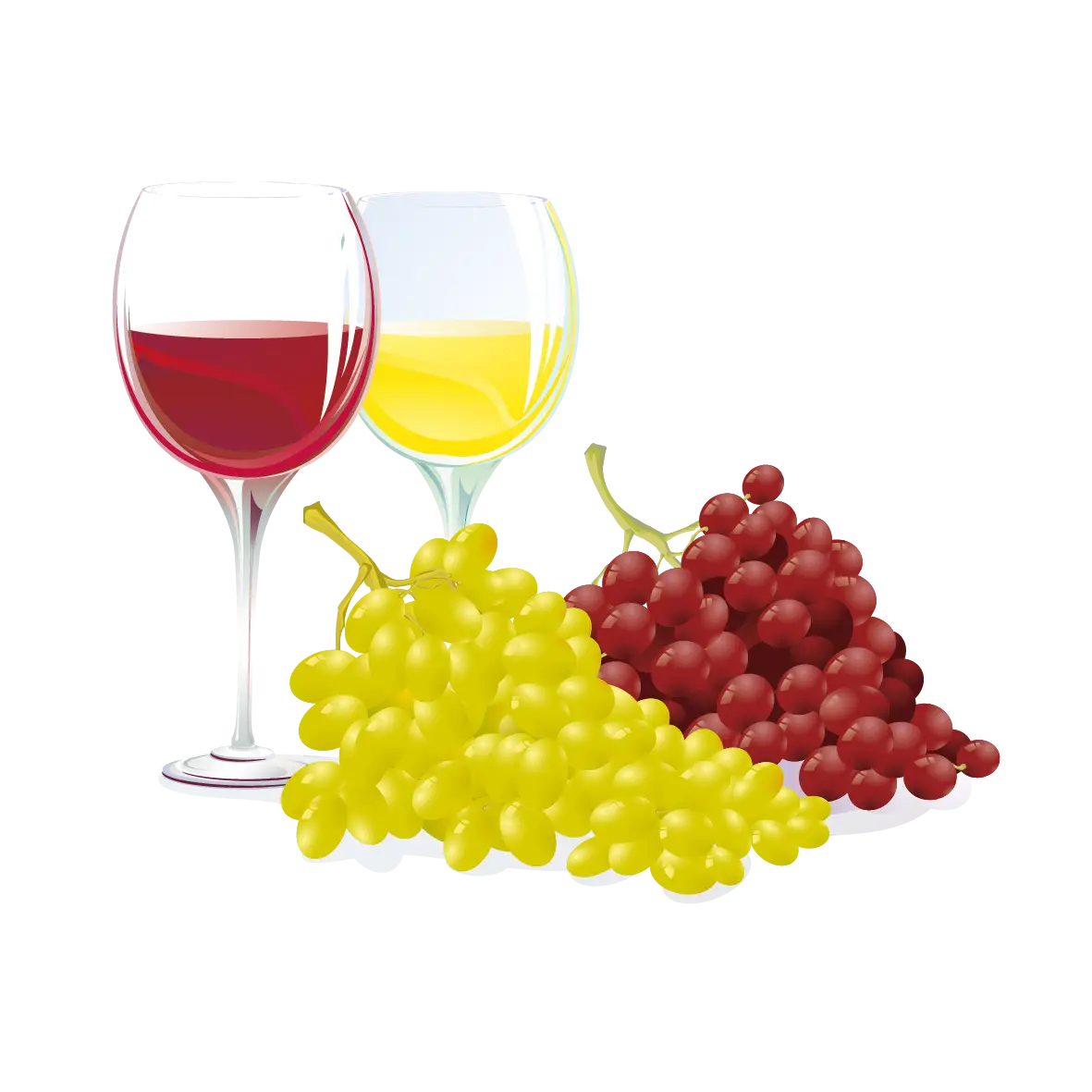 Wine and Grapes Illustration
