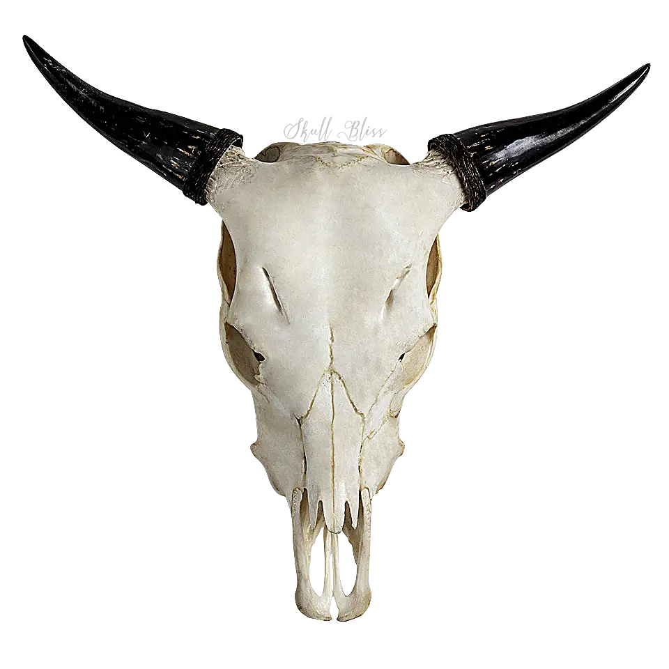 Decorative Cow Skull With Horns