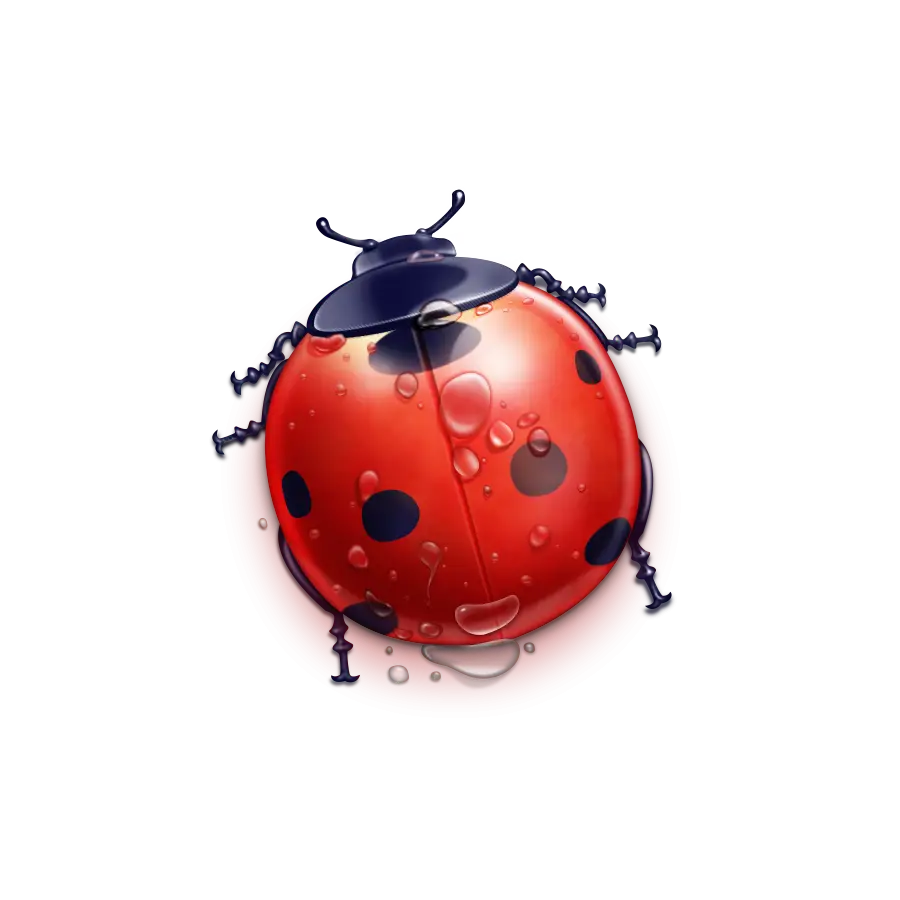 Red Ladybug with Dewdrops