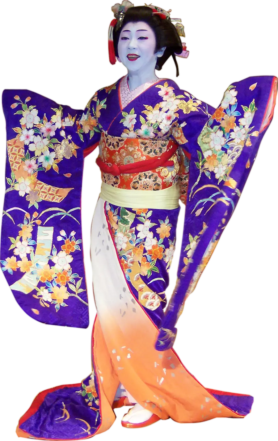 Traditional Japanese Kimono
