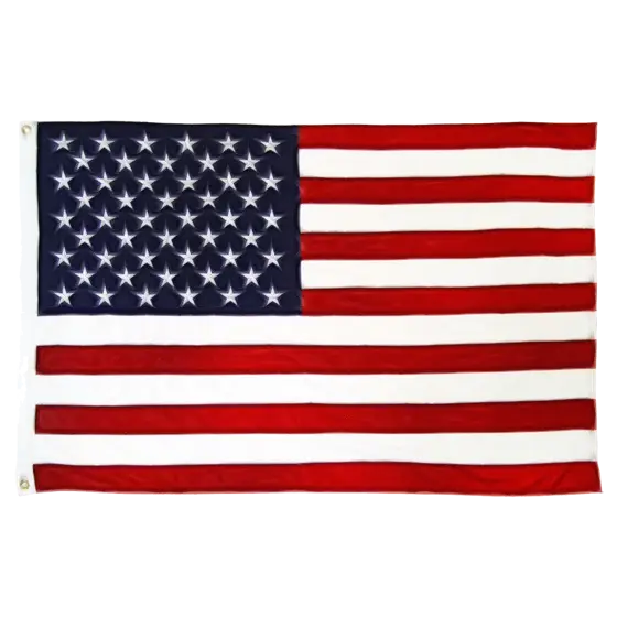United States Flag Illustration