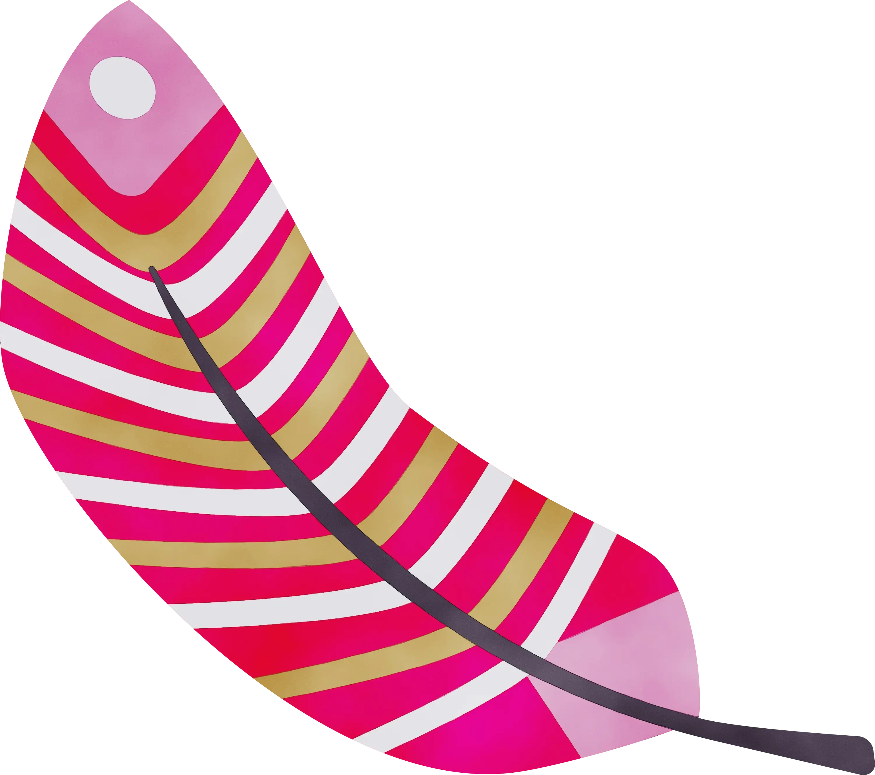 Colorful Feather Illustration