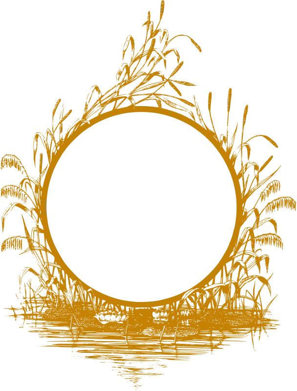 Decorative Circular Frame with Reeds