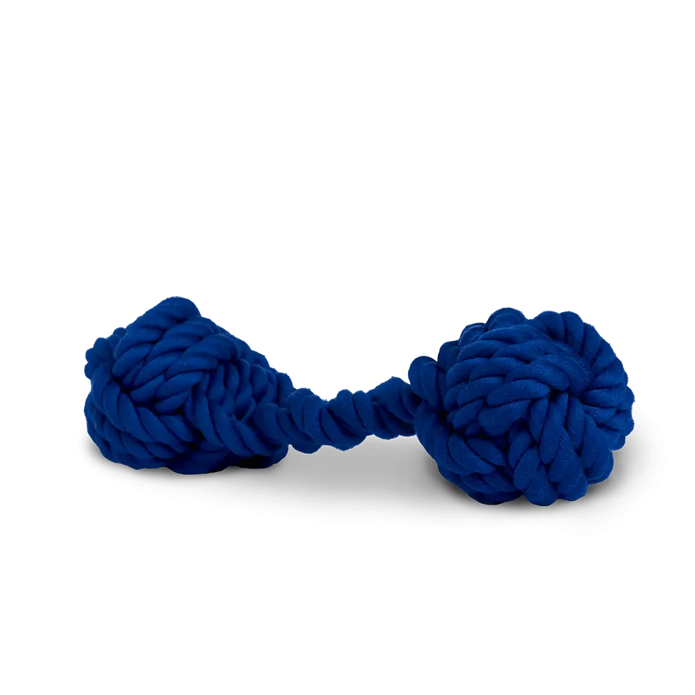 Blue Knotted Rope Toy for Pets