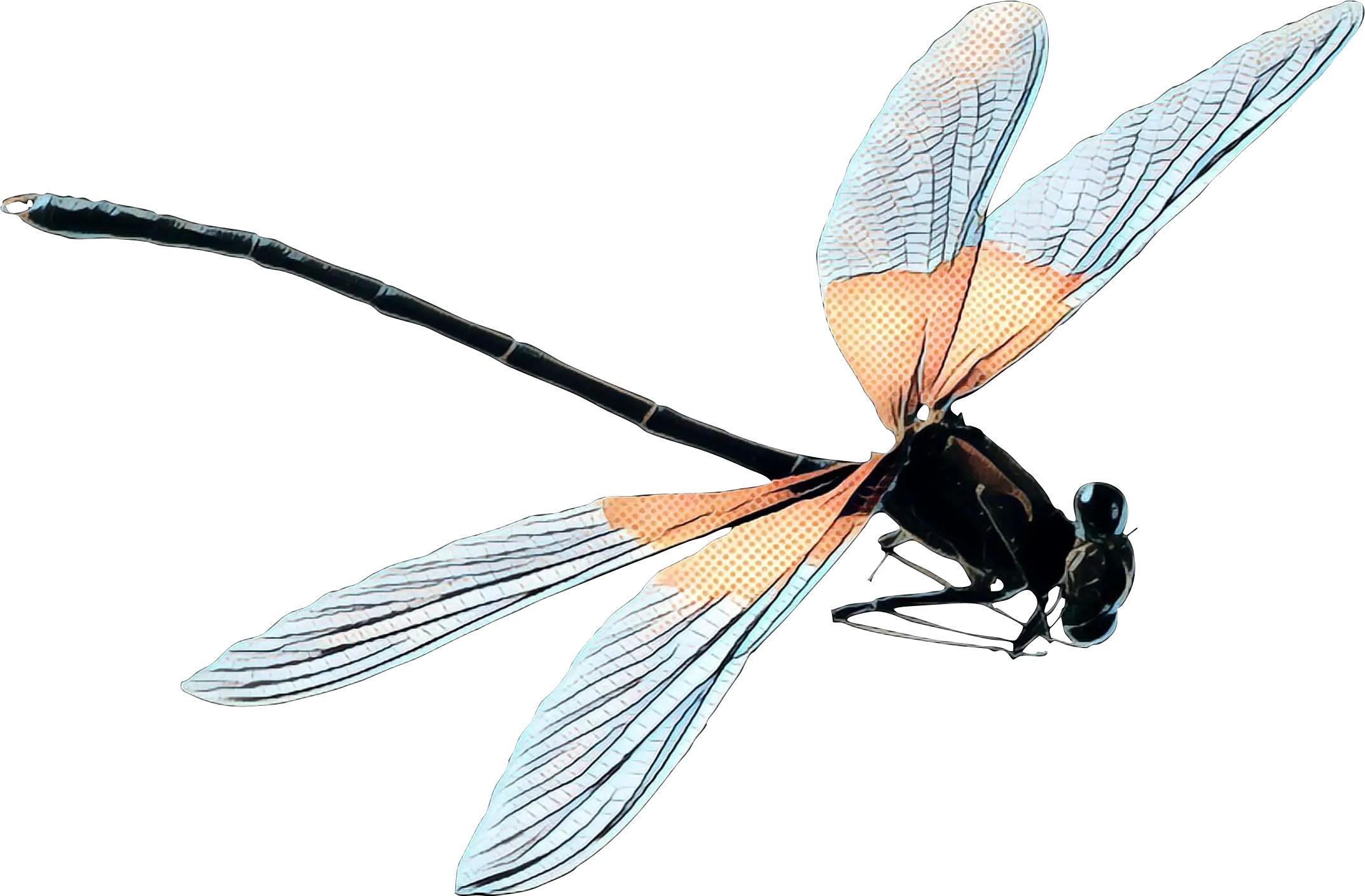 Dragonfly with Beautiful Wing Details