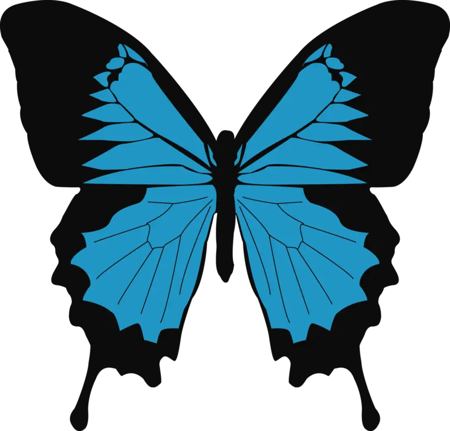 Blue Butterfly with Black Wings