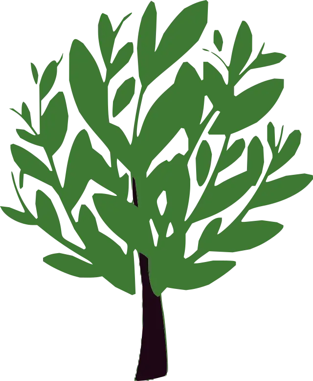 Illustration of Green Tree with Leaves